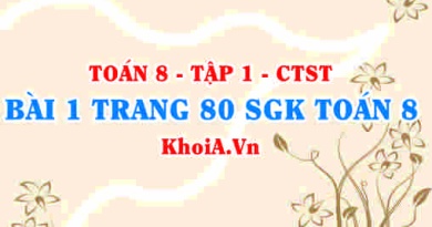 Bài 1 trang 80 SGK Toán 8 Tập 1 Chân trời sáng tạo